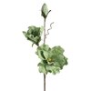 Kwiat dekoracyjny EUROFIRANY Flore 470802 Zielony