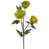 Kwiat dekoracyjny EUROFIRANY Flore 470827 Zielony