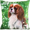 Na zdjęciu znajduje się zielona poszewka z nadrukiem przedstawiającym psa na tle trawy i stokrotek. Produkt to "Poszewka EUROFIRANY Animal 74 45 x 45 cm Zielony".