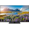 Telewizor wyświetla obraz przedstawiający malowniczy krajobraz z górskim tłem, jeziorem i polem fioletowych kwiatów. Na dolnej ramce telewizora widoczne jest logo "Panasonic".