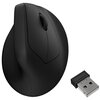 Czarna mysz komputerowa o ergonomicznym kształcie z widocznym kółkiem przewijania oraz dołączonym odbiornikiem USB. Produkt nie posiada widocznych napisów ani logo.