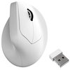 Na zdjęciu widoczna jest biała mysz komputerowa o ergonomicznym kształcie oraz biały odbiornik USB. Mysz ma czarny scroll umieszczony na górze.