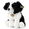 Na zdjęciu znajduje się pluszowa maskotka przedstawiająca psa rasy border collie w kolorach czarnym i białym. Na maskotce widoczne są dwa napisy: "RAPPA" na zawieszce oraz "ECO-FRIENDLY" na zielonej etykiecie.
