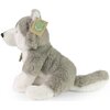 Na zdjęciu znajduje się pluszowa maskotka przedstawiająca siedzącego psa husky, wykonana z szarego i białego materiału. Na uchu maskotki widoczna jest etykieta z napisem "ECO Friendly".