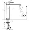 Schemat techniczny baterii umywalkowej z wymiarami: wysokość całkowita 281 mm, wysokość wylewki 250 mm, długość wylewki 169 mm, kąt nachylenia strumienia wody 20°, średnica otworu montażowego 48 mm, średnica przyłącza 32 mm, maksymalna długość przyłącza 4