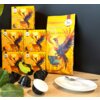 Na zdjęciu widoczne są opakowania kapsułek "Morning Bird Cafe Crema" z kolorowym wizerunkiem ptaka na żółtym tle oraz kilka czarnych kapsułek na drewnianym blacie. Obok znajduje się biały spodek z łyżeczką, a w tle widoczne są zielone liście rośliny.