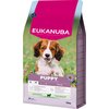 Opakowanie karmy dla psa EUKANUBA Puppy Small and Medium Breed Jagnięcina 12 kg, z wizerunkiem psa na tle łąki z kwiatami. Widoczny jest tekst: "PUPPY", "S M L", "XL", "<25 KG", "RICH IN LAMB & RICE", oraz logo EUKANUBA.