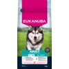 Opakowanie karmy dla psa marki EUKANUBA z wizerunkiem psa na tle zielonej trawy i nieba, z dużym napisem "ADULT" oraz informacjami o przeznaczeniu dla dużych ras. Widoczna jest także informacja o wadze 12 kg i składnikach odżywczych, takich jak łosoś.