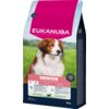 Opakowanie karmy dla psa marki EUKANUBA, przeznaczonej dla starszych psów małych i średnich ras, o smaku jagnięciny, w opakowaniu 12 kg. Na opakowaniu widoczny jest wizerunek psa na tle zielonego krajobrazu oraz napisy informacyjne dotyczące produktu, w t