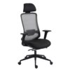 Czarny fotel biurowy z siatkowym oparciem, regulowanym zagłówkiem i podłokietnikami, osadzony na pięcioramiennej podstawie z kółkami. Produkt ma ergonomiczny kształt i nowoczesny design.