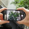 Osoba trzyma smartfon w poziomie, na ekranie którego widoczny jest kadr z zielonym drzewem i fragmentami budynków w tle. W tle zdjęcia widać rozmyte elementy architektury i roślinności.