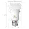 Żarówka LED o białej i kolorowej obudowie z napisem "hue white and color 1100" oraz wymiarami 60 mm średnicy i 110 mm wysokości. Widoczna jest metalowa oprawka E27.