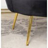 Czarna sofa dwuosobowa z widocznym złotym, metalowym nogiem stoi na dywanie o szarym, wzorzystym deseniu. Tkanina sofy ma aksamitną fakturę.