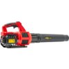 Na zdjęciu znajduje się akumulatorowa dmuchawa do liści w kolorze czerwono-czarnym z widocznym żółtym panelem z napisem "KALTMANN KBL-DL20V-SET". Produkt ma ergonomiczny uchwyt i wydłużoną dyszę.