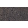 Na zdjęciu widoczna jest płytka podłogowo-ścienna o wymiarach 120 x 60 cm, w kolorze brązowym z marmurowym wzorem i wysokim połyskiem. Powierzchnia płytki ma nieregularne, jasne żyłki i ciemniejsze plamy, co nadaje jej elegancki wygląd.