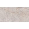 Płytka podłogowo-ścienna o wymiarach 120 x 60 cm z wzorem przypominającym naturalny kamień, w odcieniach szarości z delikatnymi, nieregularnymi żyłkami. Powierzchnia jest gładka i szkliwiona, co nadaje jej elegancki wygląd.