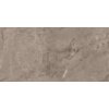Zdjęcie przedstawia płytkę podłogowo-ścienną o wymiarach 120 x 60 cm w odcieniu taupe, z połyskiem i wzorem przypominającym naturalny kamień. Powierzchnia płytki ma delikatne żyłkowania i różnorodne odcienie brązu.