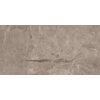 Zdjęcie przedstawia płytkę podłogowo-ścienną o wymiarach 120 x 60 cm z połyskiem, w odcieniu taupe, z widocznymi naturalnymi wzorami i żyłkami w różnych odcieniach brązu i szarości. Powierzchnia płytki jest gładka i szkliwiona, co nadaje jej elegancki wygląd.
