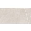 Płytka podłogowo-ścienna o wymiarach 120 x 60 cm z jasnoszarym, marmurowym wzorem i delikatnymi, białymi żyłkami. Powierzchnia jest gładka i błyszcząca, co nadaje jej elegancki wygląd.