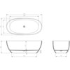 Na zdjęciu znajduje się techniczny rysunek wanny wolnostojącej o wymiarach 1700 x 800 mm, z widocznymi wymiarami szczegółowymi: 1388 mm, 647 mm, 590 mm, 435 mm, 100 mm, 195 mm, 1200 mm i 520 mm. Rysunek przedstawia widok z góry oraz dwa przekroje boczne wanny.