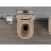 Na zdjęciu widoczna jest miska WC w kolorze cappuccino mat, z deską wolnoopadającą, zamontowana na tle szarej ściany. Obok znajduje się uchwyt z rolką papieru toaletowego, a na podłodze widać drewniane panele.