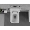 Na zdjęciu widoczna jest biała, połyskująca miska WC typu rimless z deską wolnoopadającą slim, zamontowana na tle szarej, betonowej ściany. Obok znajduje się uchwyt z rolką papieru toaletowego oraz fragment dywanika i rośliny.
