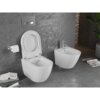 Na zdjęciu znajduje się biała, połyskująca miska WC z deską wolnoopadającą oraz bidet, zamontowane na tle szarej, teksturowanej ściany. Obok miski WC wisi uchwyt z rolką papieru toaletowego, a na podłodze leżą czasopisma i roślina w doniczce.