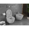 Na zdjęciu znajduje się szara, matowa miska WC typu Rimless z deską wolnoopadającą oraz bidet, zamontowane na tle ciemnej, teksturowanej ściany. Obok miski WC wisi uchwyt z rolką papieru toaletowego, a na podłodze leżą czasopisma.