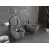 Na zdjęciu znajduje się ciemnoszara, matowa miska WC z deską wolnoopadającą oraz bidet, zamontowane na tle szarej, teksturowanej ściany. Obok miski WC widoczny jest uchwyt z papierem toaletowym, a na podłodze leżą czasopisma.