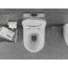Na zdjęciu widoczna jest biała, połyskująca miska WC typu Rimless zamontowana na szarej ścianie, obok której znajduje się uchwyt z rolką papieru toaletowego oraz stos książek, w tym jedna z widocznym tytułem "John Ruskin Von Venedig". Nad miską znajduje się metalowy przycisk spłukujący.