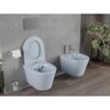 Na zdjęciu znajduje się szara-niebieska matowa miska WC z deską wolnoopadającą oraz bidet, zamontowane na tle szarej ściany z płytkami. Obok miski WC widoczny jest uchwyt z papierem toaletowym oraz szczotka, a w tle znajduje się roślina.
