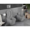 Na zdjęciu znajduje się szara, matowa miska WC z deską wolnoopadającą oraz bidet, oba zamontowane na ścianie wyłożonej szarymi płytkami. Obok miski WC znajduje się uchwyt z papierem toaletowym, a w tle widoczna jest półka z dekoracjami i rośliną.