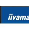 Na zdjęciu widoczny jest fragment monitora z niebieskim ekranem, na którym znajduje się białe logo "iiyama". Obudowa monitora jest wąska i ma ciemny kolor.