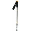 Kijki do nordic walking NILS EXTREME NWTK19 (66 - 135 cm) Czarny Składane Tak