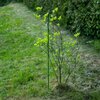 Podpora BIOOGRÓD 720110 (100 cm) Składana konstrukcja Nie