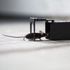 Pułapka na myszy BIOOGROD 730406 Materiał wykonania Tworzywo sztuczne