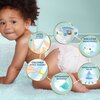 Pieluchy jednorazowe PAMPERS Premium Care 3 Midi 6-10 kg (60 sztuk) Liczba sztuk w opakowaniu 60