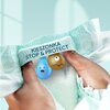 Pieluchy jednorazowe PAMPERS Premium Care 3 Midi 6-10 kg (60 sztuk) Rodzaj Pieluchy