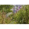 Pistolet zraszający GARDENA Comfort wielofunkcyjny 18315-20 Zastosowanie Zraszający