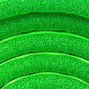 Mata SPOKEY Softmat Zielony Kolor Zielony