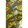Trzonek teleskopowy GARDENA Combisystem 3721-20 210-390 cm Kolor Szary