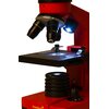 Mikroskop LEVENHUK Rainbow 2L Pomarańczowy Gwarancja Dożywotnia