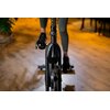 Rower spinningowy HERTZ FITNESS XR-330 Ćwiczone partie mięśni Plecy