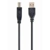 Kabel USB-A - USB-B GEMBIRD CCP-USB2-AMBM-10 3 m Standard USB USB 2.0