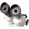 Mikroskop LEVENHUK 3ST Kolor Czarno-biały