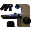 Mikroskop LEVENHUK Rainbow 2L Kamień Księżycowy Gwarancja Dożywotnia
