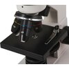 Mikroskop LEVENHUK Rainbow 2L Kamień Księżycowy Rodzaj Mikroskop Biologiczny