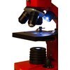 Mikroskop LEVENHUK Rainbow 2L Plus Pomarańczowy Długość [mm] 230