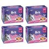 Karma dla kota BRIT Pouch Jelly Fillet Family Plate Mix smaków (48x 85 g) Typ Mokra