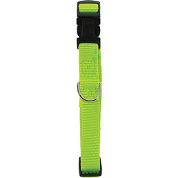 Obroża ZOLUX Nylon L (38 - 59 cm) Seledynowy